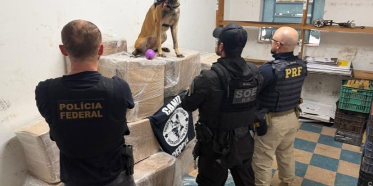 Ação conjunta apreende quase 1 tonelada de maconha na BR-277