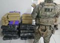 PRF apreende mais de 200 quilos de maconha na BR-376