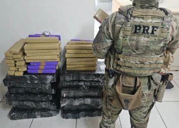 PRF apreende mais de 200 quilos de maconha na BR-376