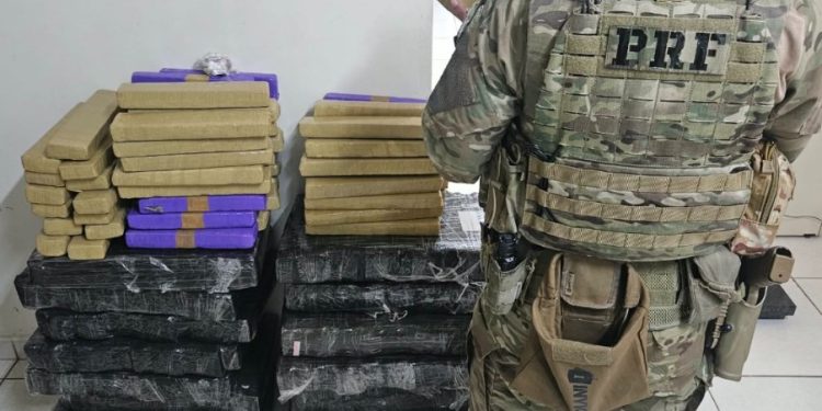 PRF apreende mais de 200 quilos de maconha na BR-376