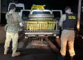 PRF e PM apreendem quase uma tonelada de maconha em carro clonado na BR-163